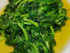 酒香豆苗-梅龙镇酒家(南京西路总店)