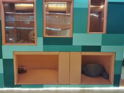 -泡泡米POPOME益智乐园(洪殿花园旗舰店)