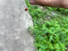 -西岭雪山大飞水景区