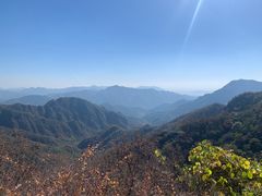 -大岭沟猕猴桃谷风景区