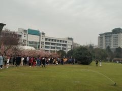 -武汉大学-樱园