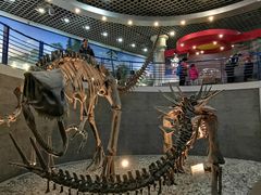 -国家自然博物馆