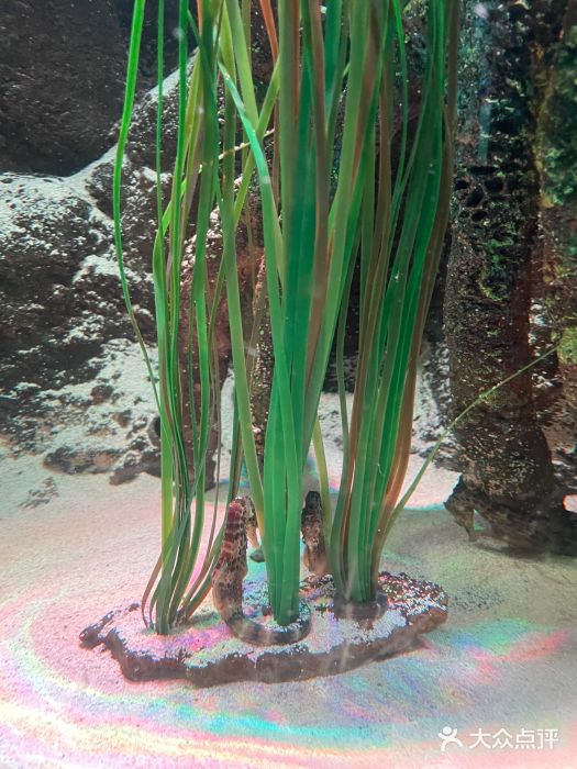 沈阳海洋探索中心图片