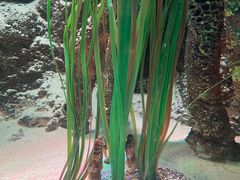 -沈阳海洋探索中心