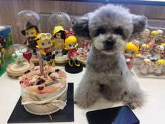 -小苍兰风铃草蛋糕甜品(沈阳店)