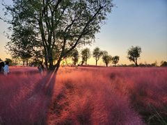 -汉长安城未央宫国家考古遗址公园