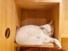 -懒鱼时光馆(沙坪坝店)