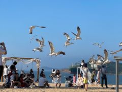 -海驴岛(荣成市)