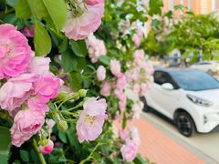 -电谷雅阁国际大酒店