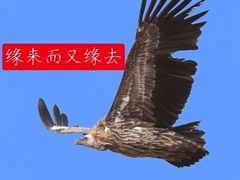 -青城公园