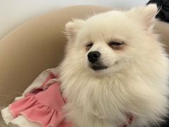 -怪兽屋·羊驼·猫咖·狗咖(俊华广场店)