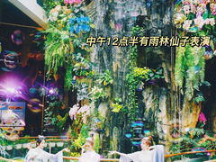 -正佳雨林生态植物园