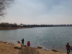 -丁香湖公园