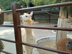 -杭州野生动物世界
