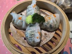 -金龙寨(龙城路店)