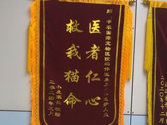 -中农国际动物医院24小时·猫科·骨科·急重症中心