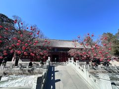 -香山公园