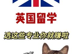 -JT PREP国际学科课程·IB·AP·Alevel(陆家嘴校区)