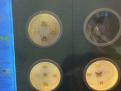 -下渚湖国家湿地公园科普馆