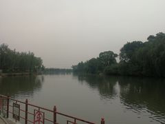 -东方巨龟苑景区