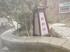 -徂徕山森林康养度假谷温泉