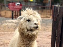 -济南野生动物世界