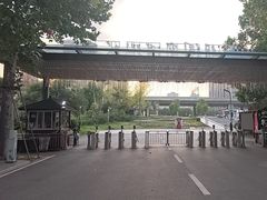 -洋湖国家湿地公园