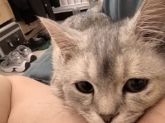 -中农国际动物医院24小时·猫科·骨科·急重症中心