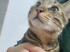 -芭比堂动物医院广州顽皮分院