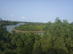 -东寨港红树林旅游区