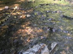 -夏霖九天银瀑风景区