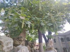-张学良旧居陈列馆