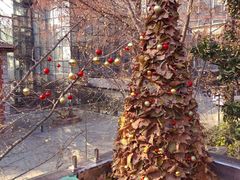 -腾爱熊猫咖啡生活馆(老东门店)