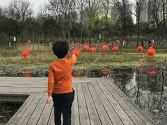 -昆山城市生态森林公园