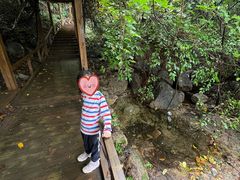 -大岭沟猕猴桃谷风景区