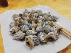 花螺-蚝专家(北滘店)