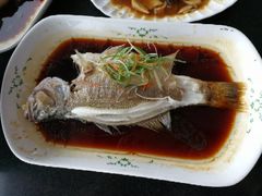 -云中小雅
