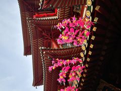 -新加坡佛牙寺龙华院