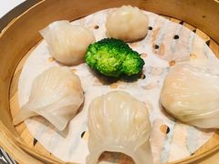 潮上潮虾饺皇-潮上潮(南中环店)