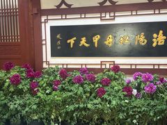 -神州牡丹园
