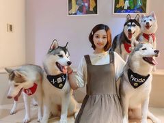 -Husky Go! 哈士奇体验馆·宠物咖啡厅狗咖