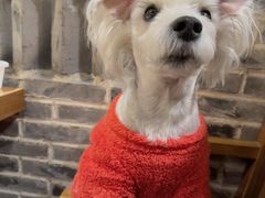 -老酒馆熏酱东北菜·海鲜烧烤大排档(世纪公园直营店)