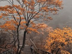 -黄山风景区