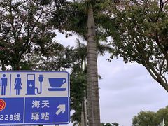 -太平洋咖啡(海天驿站店)