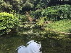 -晓港公园