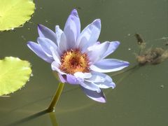 -国家植物园南园