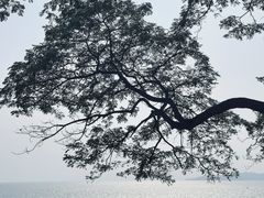 -网红落日悬崖餐厅 The Sky Gallery