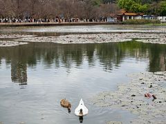 -翠湖公园