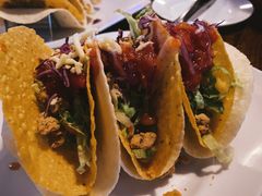 TACOS鸡肉玉米夹饼-么哈MOJAR(北京五道口店)