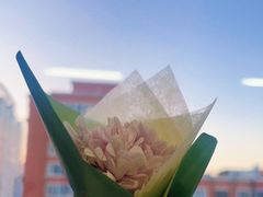-小苍兰风铃草·礼物蛋糕(沈阳店)